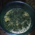 Cooksnap dari Agnes Stalinda untuk resep Sayur Santan Daun Singkong