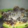 Cooksnap dari hasanah untuk resep Pisang Bakar
