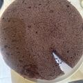 Cooksnap dari Kustiah Puji Lestari untuk resep Bolu Ketan Hitam Kukus