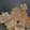 El cooksnap de cluislopez cuando hizo Masitas / Galletitas de queso.
