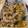 El cooksnap de Leandro R. Giordano cuando hizo Sándwich de bondiola.