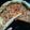 Cooksnap dari Yaya Chaniago untuk resep Bolognese pizza