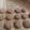 Mukta Shukla 's cooksnap of when they made Bijjore (til papad).