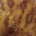 El cooksnap de Laiza Fassi cuando hizo Chocotorta.