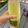 🌈NinjaMommaKitchen🌈's cooksnap of when they made Avocado spinach banana smoothie.