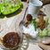 Cooksnap dari Monica Razali untuk resep Ayam Penyet Sambal Terasi
