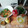 El cooksnap de Solopurés. cuando hizo Ensalada de garbanzos y pepino.