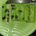 Cooksnap dari Destya Enggar untuk resep Bolu kukus pandan mocca kismis