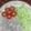 Dania Dilawer's cooksnap of when they made Cucumber Tomato & Olive Salad.