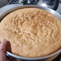 El cooksnap de joselyn manriquez cuando hizo Bizcochuelo para un molde de 30 cm.