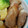 クミコcm's cooksnap of when they made くるくる♪豚薄切りの生姜焼き＊お弁当にも.
