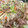 no1642's cooksnap of when they made 【簡単！幼児食】残り物焼うどん♡.