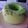 Cooksnap dari Maya Rismayani untuk resep Bolu kukus pandan lembut. No seret !