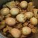Cooksnap dari Linawati Agustin untuk resep Gudeg nangka jogja