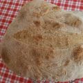il mariangela quando ha preparato Pane con lievito madre (licoli) e farina tipo 2
