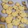 Cooksnap dari Intan Zeeta untuk resep Vanilla Chocochips Cookies Tintin Rayner