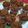 Cooksnap dari Dayu Prapti untuk resep Bolu Kukus Gula merah