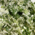 らむちびた's cooksnap of when they made サクッと・春菊の天ぷら.