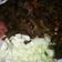 Cooksnap dari Nur Wulan untuk resep Sate kambing goreng