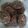 El cooksnap de Dina cuando hizo Galletas de mantequilla de maní y chocolate con avena ! Súper saludable.