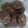 El cooksnap de Dina cuando hizo Galletas de mantequilla de maní y chocolate con avena ! Súper saludable.
