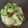 Cooksnap de Cathychou Cathychou sur la recette ☆Tarte au Concombre☆