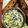 Kavita Kapoormehrotra.1's cooksnap of when they made Methi malai matar.