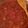 thor19311's cooksnap of when they made Venison chilli.