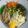 Cooksnap dari Anita Permatasari untuk resep Vegan poke bowl with enoki mushrooms ala me