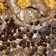 Cooksnap dari ifs 29 untuk resep Brownies panggang