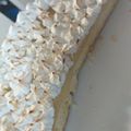 El cooksnap de Vero Robinson cuando hizo Lemon pie mágico!!!! Siii mágico y súper fácil!!!!!.