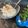 Palak Pandya's cooksnap of when they made કાકડીનું રાઇતું (Kakdi Raitu Recipe in Gujarati).