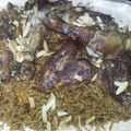 صورة من عاشقة الاقصى، شاركها بعد تجربة وصفة كبسه ع طريقه أهل القدس