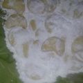 Cooksnap dari Ayu Kurnia untuk resep Putri Salju Renyah