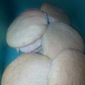 El cooksnap de ivana cuando hizo Masitas fáciles.