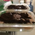 Cooksnap dari irre_desirre untuk resep Setup roti viral by @irre_desirre