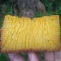 Cooksnap dari deassy untuk resep 563. Bika Ambon Klasik #SeninSemangat