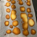黃佩雯 的 貓舌頭餅乾（蛋白烘焙） cooksnap