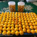 Cooksnap dari dapoer santi untuk resep Nastar lumer Tintin Rayner