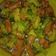 Cooksnap dari Dee untuk resep Tumis brokoli sosis