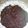 Cooksnap dari Lia Sengpentenghokyahokya Ajja untuk resep Brownies Chocolatos simple murah anti gagal