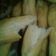 Cooksnap dari Momy razib untuk resep Cakwe