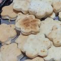 El cooksnap de Sandra Elizabeth Bentivegna cuando hizo 🔹Bizcochitos Salados Para el Mate.. (Rápidos y Fáciles)🔹.