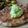 Mommyluvs2cook's cooksnap of when they made Brenda's 15 minute Paleo Creamy Avocado Pasta Sauce.