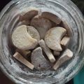 Cooksnap dari delirium untuk resep Kue kering putri salju
