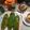 Cooksnap dari Lucia Lanny untuk resep Nasi Bakar Ayam Suwir Kemangi