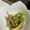 もげらった27's cooksnap of when they made ヘビウリとしめじのバター醤油炒め.
