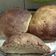 El cooksnap de Elin Annabella Brandariz cuando hizo Pan casero fácil 🍞.