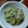 El cooksnap de Brian Gandini cuando hizo Paté de berenjena (apto veganos y celiacos).