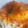 El cooksnap de Emanuel Lopez Haar cuando hizo Bacalao con tomate.